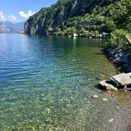 Dei Cigni *